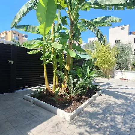 Maison d'hôtes Denis Durrës